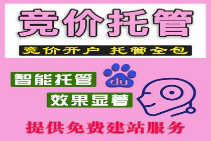 SEM外包公司案例：打造个性化营销方案